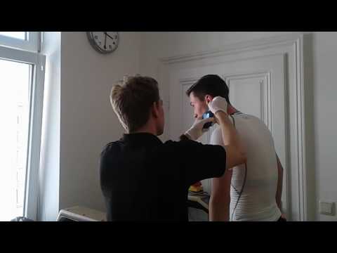 Leistungsdiagnostik mit dem Wahlpflichtfach Sportkunde