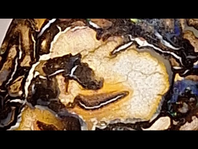 حجر بولدر اوبال استرالي طبيعي مصور مفحوص بشهادة مخ...