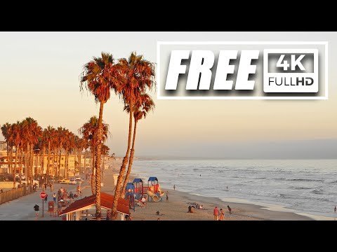 PALM TREES / OCEAN / SUNSET / BEACH / FREE 4K VIDEO / NO COPYRIGHT ROYALTY-FREE STOCK FOOTAGE
