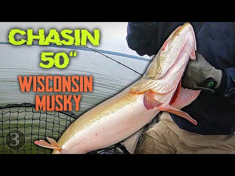 BIGGEST FISH Of The Year And On TOPWATER! - Chasin WI 50" Musky Ep 3