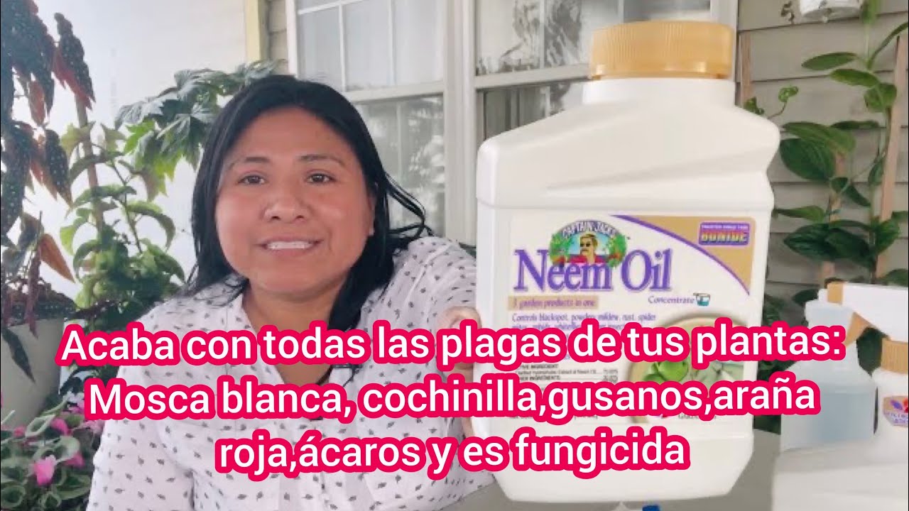 Aceite neem y jabón potásico Acaba con el 99.9% de todas las plagas en tus plantas