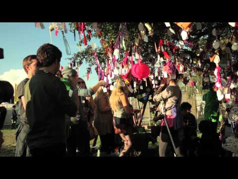 Electric Picnic 2011