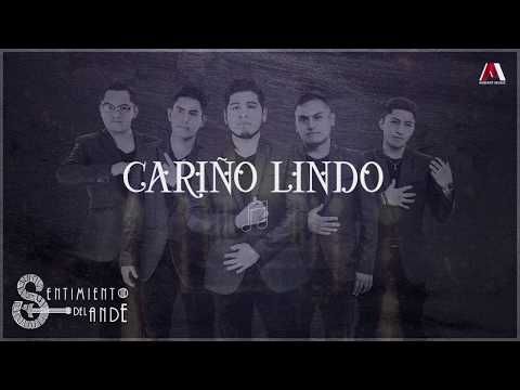 SENTIMIENTO DEL ANDE - Cariño Lindo - (Karaoke) (Tunantada)