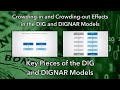Crowding in and Crowding out Effects in the DIG and DIGNAR Models