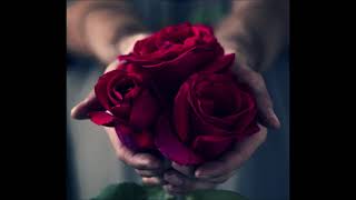 The Doobie Brothers "Natural Thing"