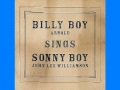 Billy Boy Arnold - 2008 - Half-A-Pint - Dimitris Lesini Blues