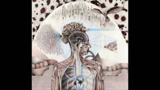 Dan Wallace - Invisible Lines