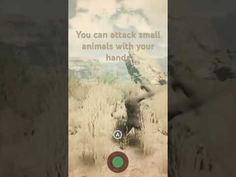 Secret tip in ancestors the humankind odyssey