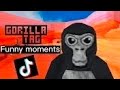 GTAG Funny Compilation / this is not my videos DEFAULT Thumbnail