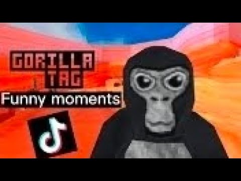 GTAG Funny Compilation / this is not my videos 