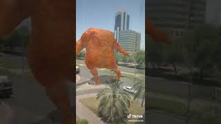 Download lagu Ayam berjoget mp3 Download lagu Ayam berjoget mp3