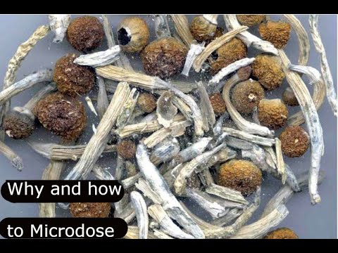 How to Microdose Psilocybin Mushrooms