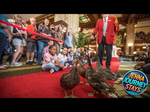 Peabody Memphis | Memphis (TN), United States | Hotel Review 🛏️