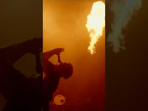 DO YOU FEEL LOVE LIVE FROM AMSTERDAM STREAMING NOW ON @VEEPS