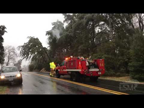 12-16-20 Charlottesville, VA - Ice Storm Impacts