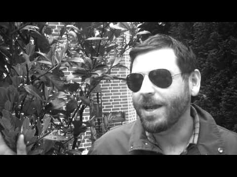 FLASHING DISCO SOUNDS II - TOBITOB (MOONBOOTICA)