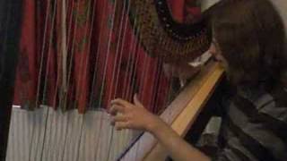 Sprout And The Bean ( Joanna Newsom Harp Cover )