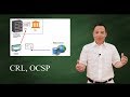 Revocation Of Digital Certificates CRL OCSP OCSP Stapling