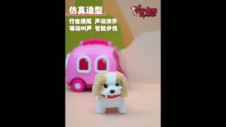 Vardem Hareketli Köpek ve Işıklı Sesli Şeffaf Kafes Seti