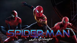 Spider-Man : No Way Home  Whats up Danger  Spider-