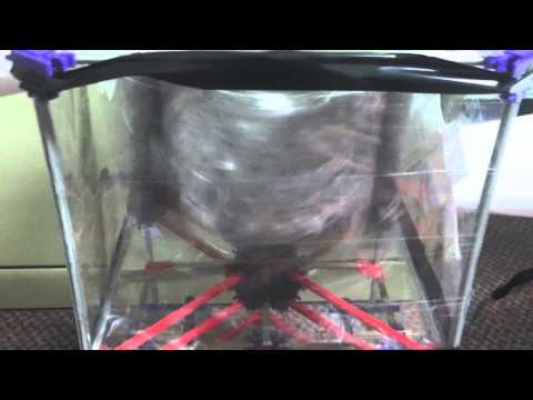 NCSU FEDD ABB's Turbine : The Turbinators