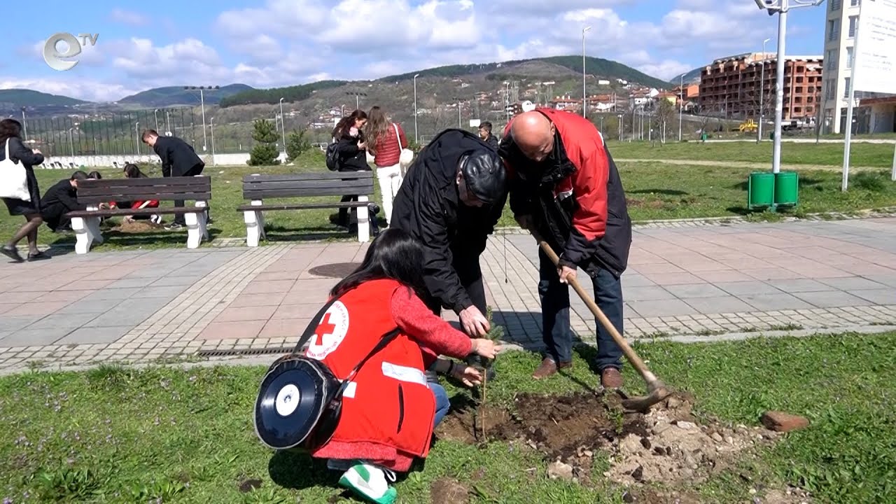 110 фиданки сребрист смърч бяха засадени в парк „Арпезос – Север“ в Кърджали