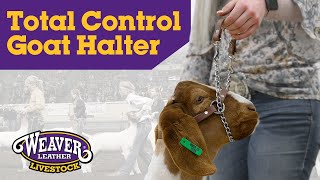 Total Control Goat Halter by Weaver Livestock