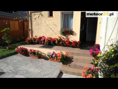 Pokoje Gościnne u Anny - Międzyzdroje meteor24.pl