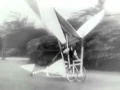 Man S Early Flight Attempts