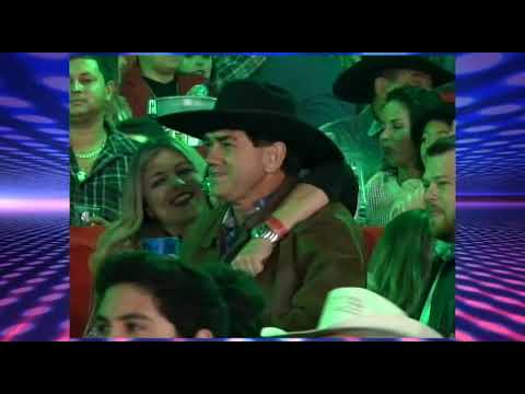 OURO FINO BOLETIM DA SEMANA 356 - 19 DE AGOSTO DE 2017