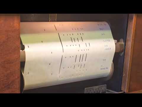 Susie's Feller - Lee Sims