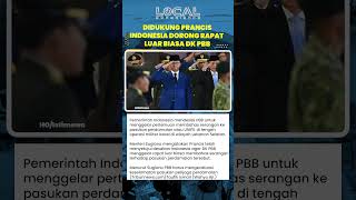 Didukung Prancis, Indonesia Dorong PBB Bahas Serangan Pasukan Perdamaian