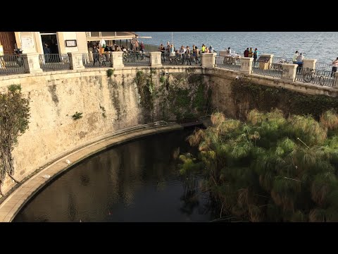 [ Fountain of Arethusa ( Fonte Aretusa ) ] Siracusa, Sicily, Italy