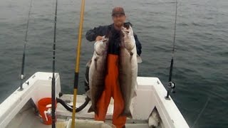 Balloon fishing White Seabass