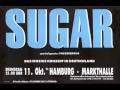 SUGAR - Hoover Dam - Live 1992 (Bob Mould ...