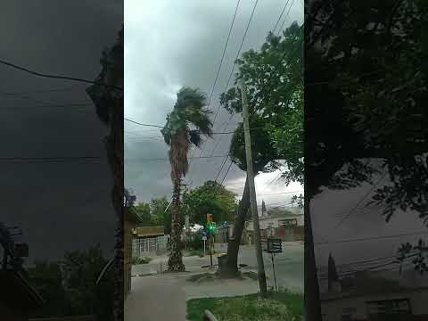 Tormenta de viento fuerte en Las Heras, Mendoza 30/01/2026 15:33 hs
