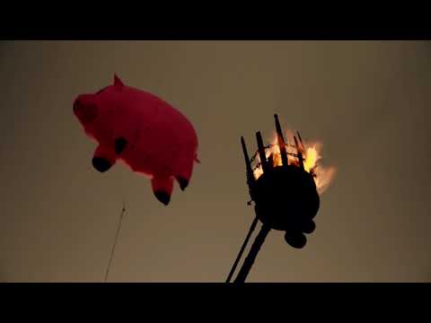 The Imbeciles - Yes I Am (Official Video)