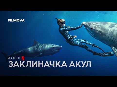 Трейлер Заклиначка акул