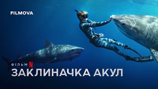 Заклиначка акул | Український трейлер | Netflix