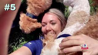 Top 5 Best Dog Foods in 2024! [Buyer's Guide]