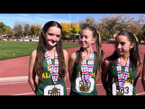 Nmmilesplit