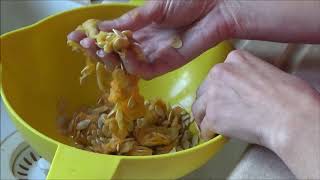How To Collect Spaghetti Squash Seeds, How To Wash Spaghetti Squash Seeds
