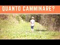 Quanto Bisogna Camminare Ogni Giorno Per Dimagrire