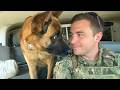 When God Sends You A Comedian Police Dog Funniest Dogs Video