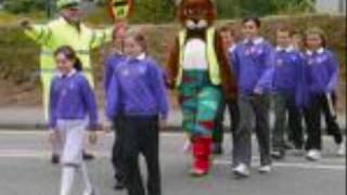 "I will walk with you" by John Fogerty