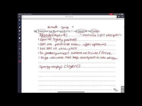 IGCSE Biology 2023 May/June Paper 42  (0610/42/M/J/23)