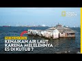 A Brief Explanation Of Sea Level Rise Due To Melting Polar Ice