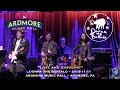 2015-11-11 - Donna the Buffalo - "Love and Gasoline"