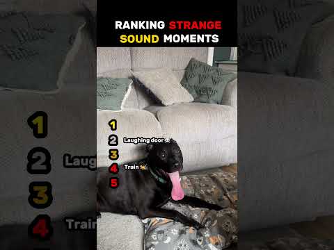 Don´t check the sound!!🔇!!