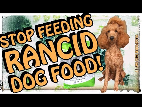 YouTube video about: How long does a 30lb bag of dog food last?